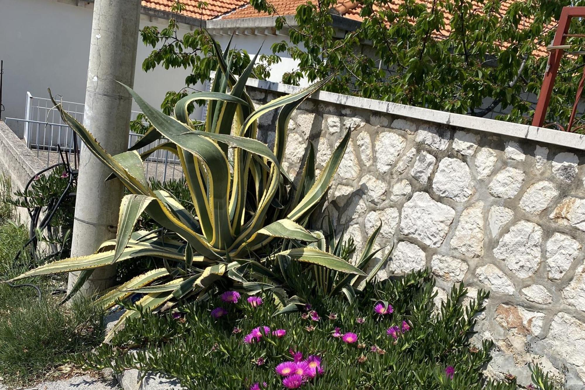 Rolex -near The Port Dubrovnik